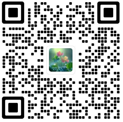 Applied Mathematics and Mechanics(English Edition)杂志模板